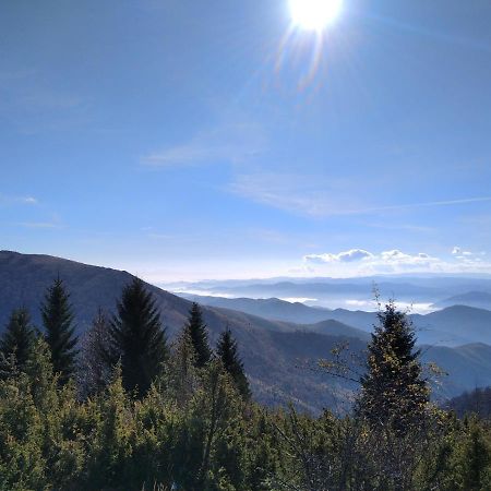 Lux Apartmani Dunja Kopaonik Cardaci - White Buitenkant foto