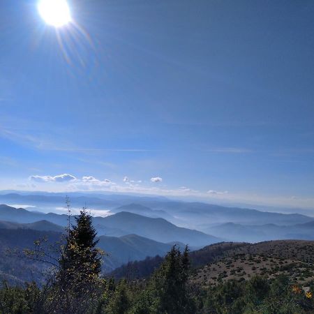 Lux Apartmani Dunja Kopaonik Cardaci - White Buitenkant foto