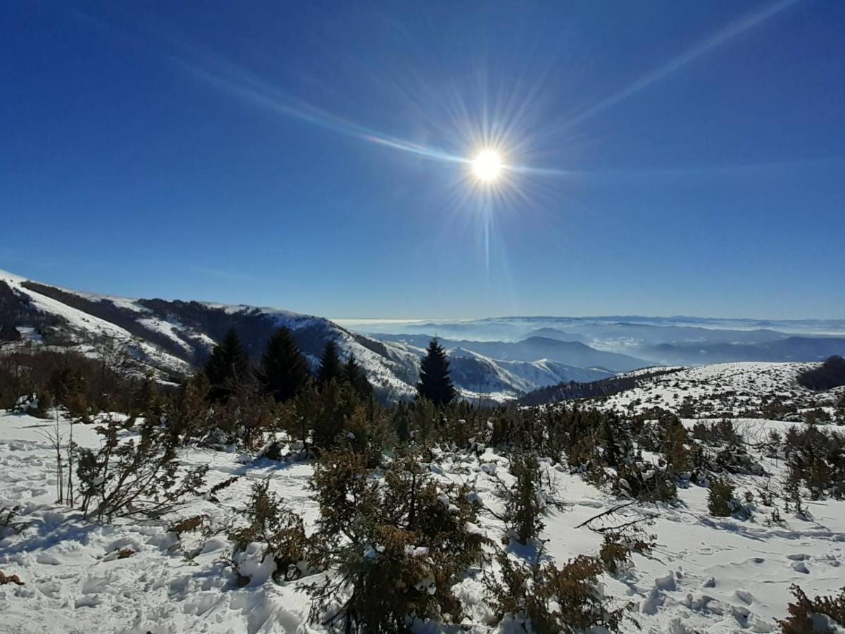 Lux Apartmani Dunja Kopaonik Cardaci - White Buitenkant foto