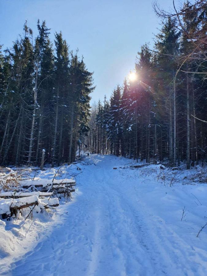 Lux Apartmani Dunja Kopaonik Cardaci - White Buitenkant foto