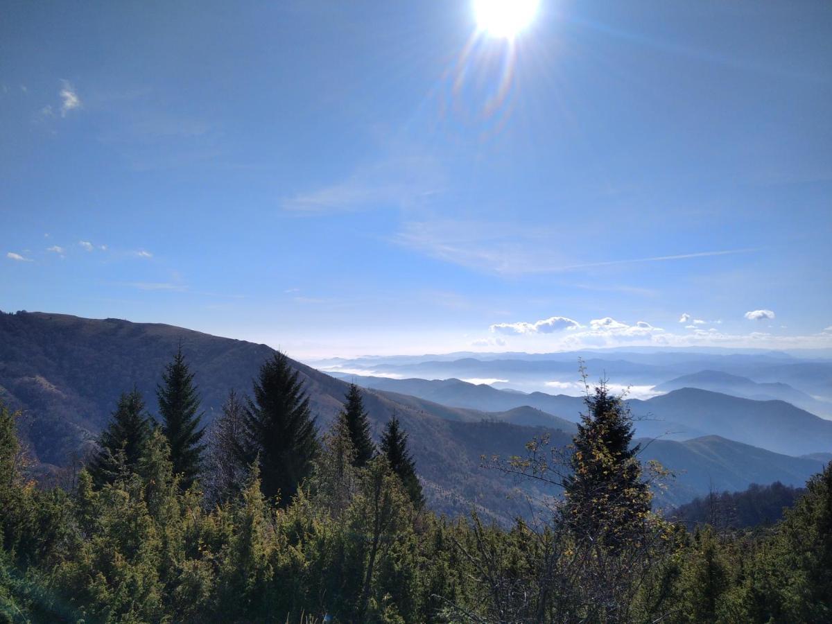 Lux Apartmani Dunja Kopaonik Cardaci - White Buitenkant foto