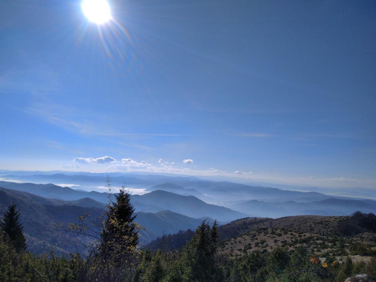 Lux Apartmani Dunja Kopaonik Cardaci - White Buitenkant foto