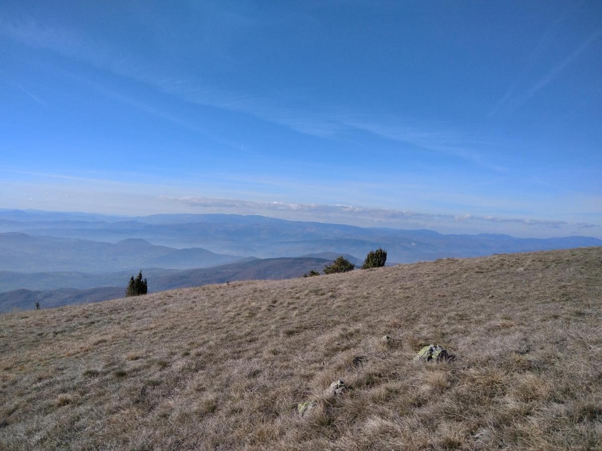 Lux Apartmani Dunja Kopaonik Cardaci - White Buitenkant foto